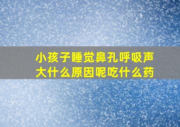 小孩子睡觉鼻孔呼吸声大什么原因呢吃什么药