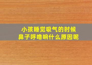 小孩睡觉吸气的时候鼻子呼噜响什么原因呢