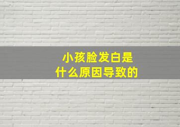 小孩脸发白是什么原因导致的