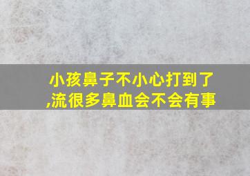 小孩鼻子不小心打到了,流很多鼻血会不会有事