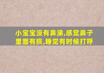 小宝宝没有鼻涕,感觉鼻子里面有痰,睡觉有时候打呼