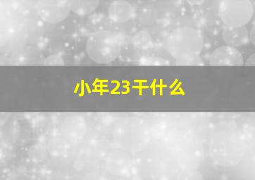 小年23干什么