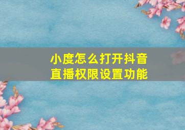 小度怎么打开抖音直播权限设置功能