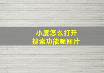 小度怎么打开搜索功能呢图片