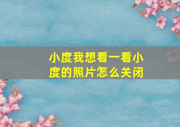 小度我想看一看小度的照片怎么关闭