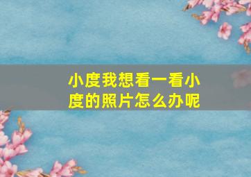 小度我想看一看小度的照片怎么办呢