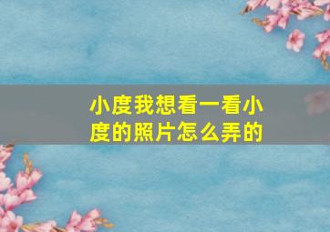 小度我想看一看小度的照片怎么弄的