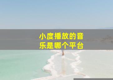 小度播放的音乐是哪个平台