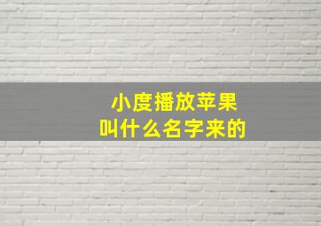 小度播放苹果叫什么名字来的