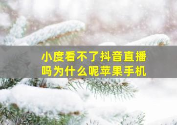 小度看不了抖音直播吗为什么呢苹果手机