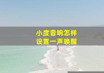 小度音响怎样设置一声唤醒