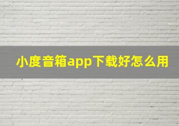 小度音箱app下载好怎么用