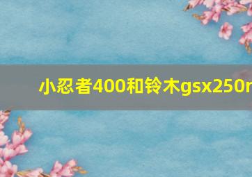 小忍者400和铃木gsx250r