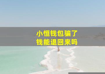 小恒钱包骗了钱能退回来吗