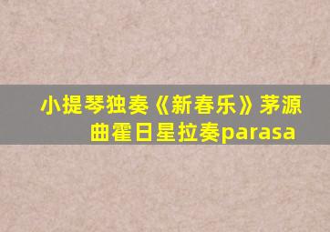 小提琴独奏《新春乐》茅源曲霍日星拉奏parasa