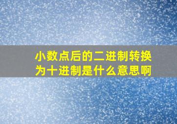 小数点后的二进制转换为十进制是什么意思啊