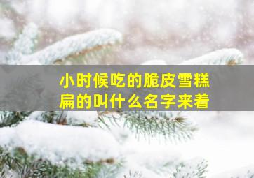 小时候吃的脆皮雪糕扁的叫什么名字来着