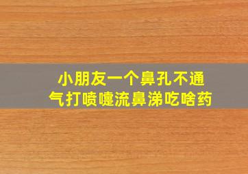 小朋友一个鼻孔不通气打喷嚏流鼻涕吃啥药