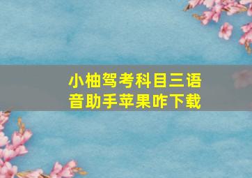 小柚驾考科目三语音助手苹果咋下载