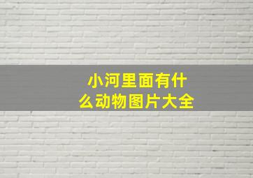 小河里面有什么动物图片大全