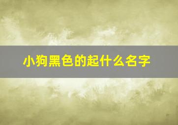 小狗黑色的起什么名字