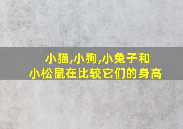 小猫,小狗,小兔子和小松鼠在比较它们的身高