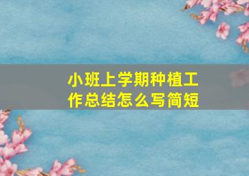 小班上学期种植工作总结怎么写简短