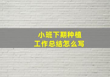 小班下期种植工作总结怎么写