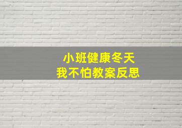 小班健康冬天我不怕教案反思