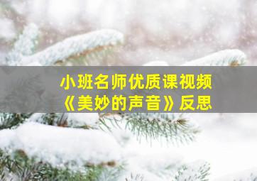 小班名师优质课视频《美妙的声音》反思