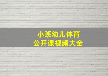 小班幼儿体育公开课视频大全