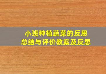 小班种植蔬菜的反思总结与评价教案及反思