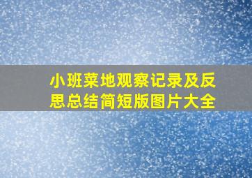 小班菜地观察记录及反思总结简短版图片大全