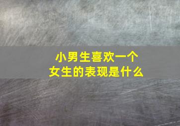 小男生喜欢一个女生的表现是什么