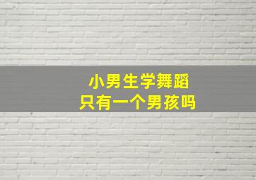 小男生学舞蹈只有一个男孩吗