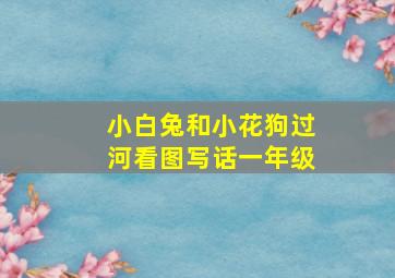 小白兔和小花狗过河看图写话一年级