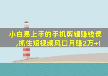 小白易上手的手机剪辑赚钱课,抓住短视频风口月赚2万+!