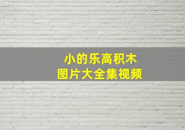 小的乐高积木图片大全集视频