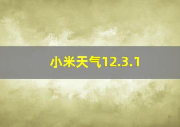 小米天气12.3.1