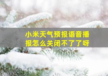 小米天气预报语音播报怎么关闭不了了呀