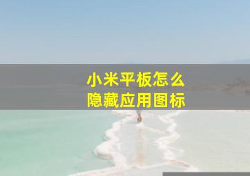 小米平板怎么隐藏应用图标