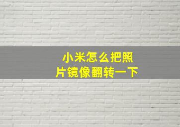 小米怎么把照片镜像翻转一下