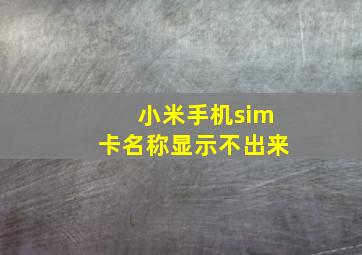 小米手机sim卡名称显示不出来