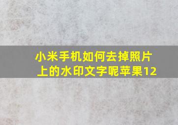 小米手机如何去掉照片上的水印文字呢苹果12