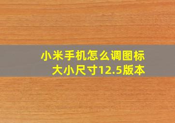 小米手机怎么调图标大小尺寸12.5版本