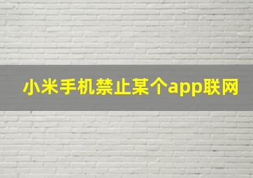 小米手机禁止某个app联网