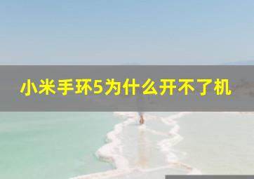 小米手环5为什么开不了机