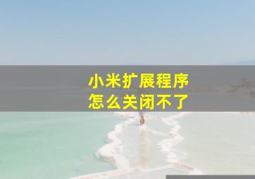 小米扩展程序怎么关闭不了