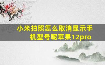 小米拍照怎么取消显示手机型号呢苹果12pro