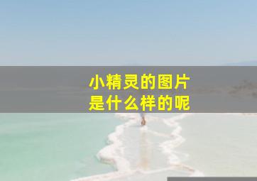 小精灵的图片是什么样的呢